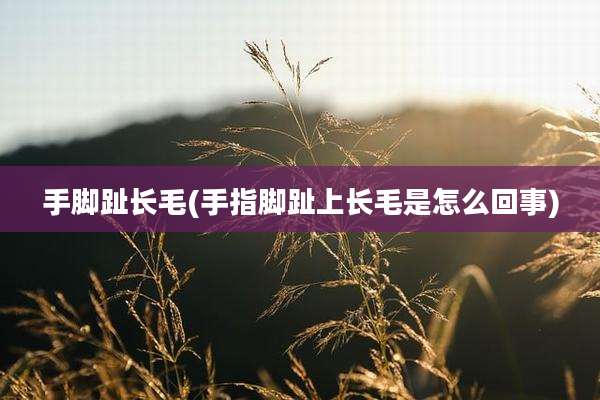 手脚趾长毛(手指脚趾上长毛是怎么回事)