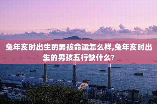兔年亥时出生的男孩命运怎么样,兔年亥时出生的男孩五行缺什么?