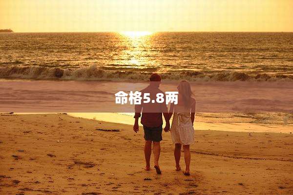 命格5.8两