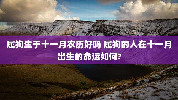 属狗生于十一月农历好吗 属狗的人在十一月出生的命运如何?