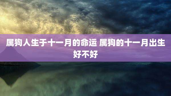 属狗人生于十一月的命运 属狗的十一月出生好不好