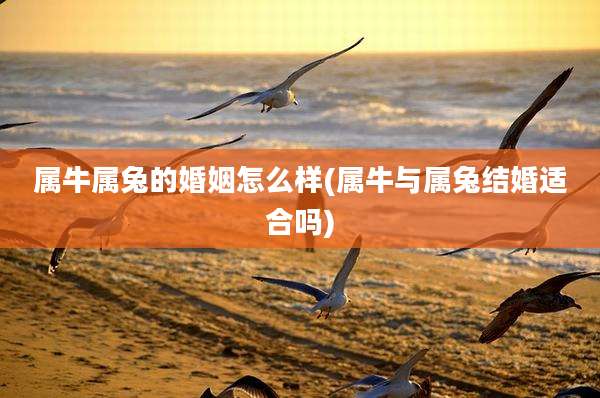 属牛属兔的婚姻怎么样(属牛与属兔结婚适合吗)