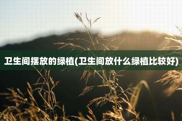 卫生间摆放的绿植(卫生间放什么绿植比较好)