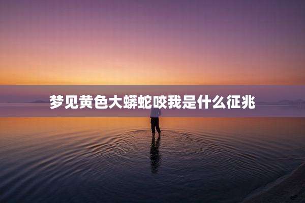 梦见黄色大蟒蛇咬我是什么征兆