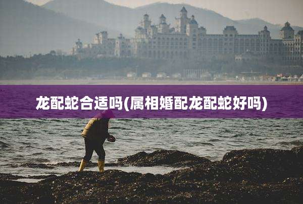 龙配蛇合适吗(属相婚配龙配蛇好吗)