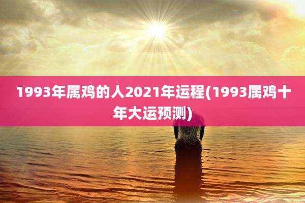 1993年属鸡的人2021年运程(1993属鸡十年大运预测)