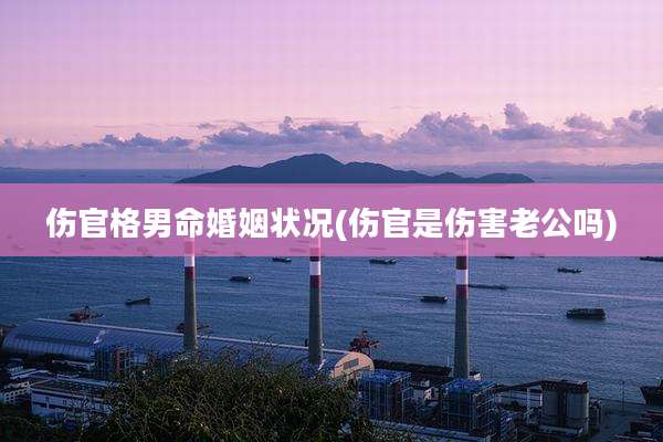 伤官格男命婚姻状况(伤官是伤害老公吗)