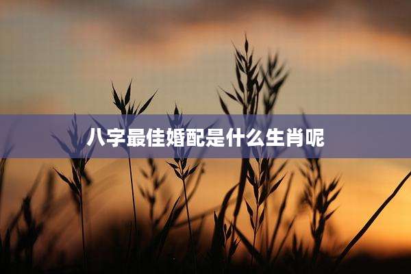 八字最佳婚配是什么生肖呢