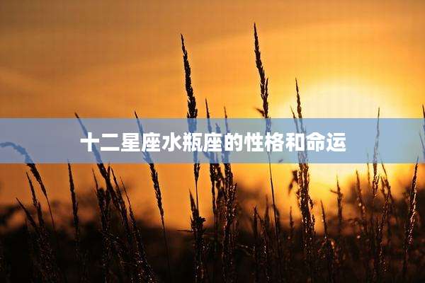 十二星座水瓶座的性格和命运