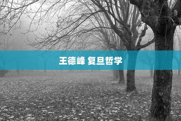 王德峰 复旦哲学