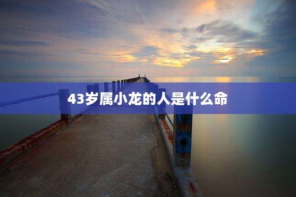 43岁属小龙的人是什么命