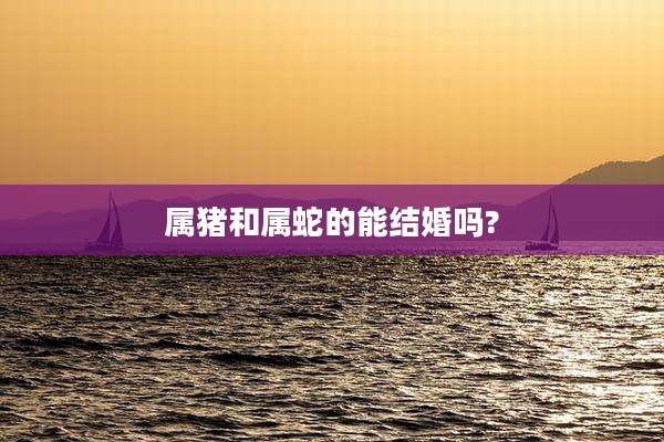 属猪和属蛇的能结婚吗?