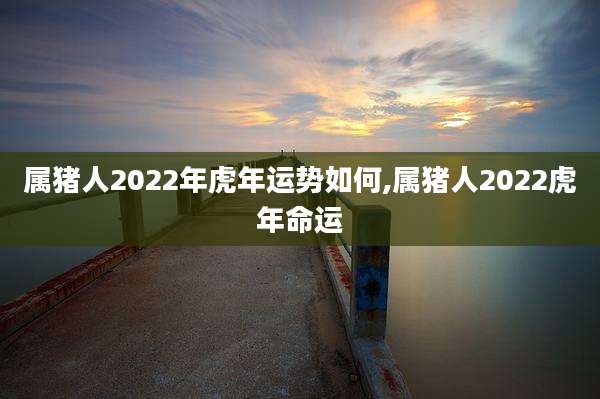 属猪人2022年虎年运势如何,属猪人2022虎年命运