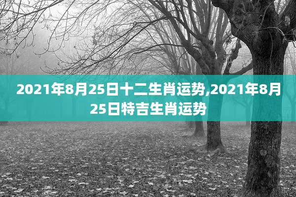 2021年8月25日十二生肖运势,2021年8月25日特吉生肖运势