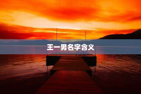 王一男名字含义