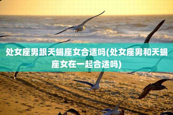 处女座男跟天蝎座女合适吗(处女座男和天蝎座女在一起合适吗)