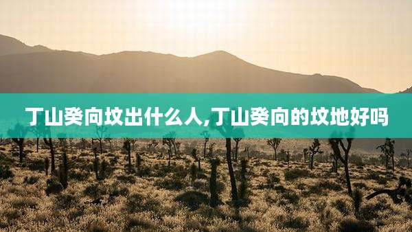 丁山癸向坟出什么人,丁山癸向的坟地好吗