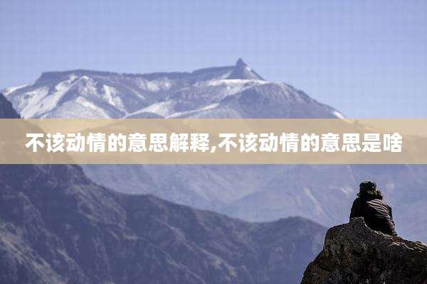 不该动情的意思解释,不该动情的意思是啥
