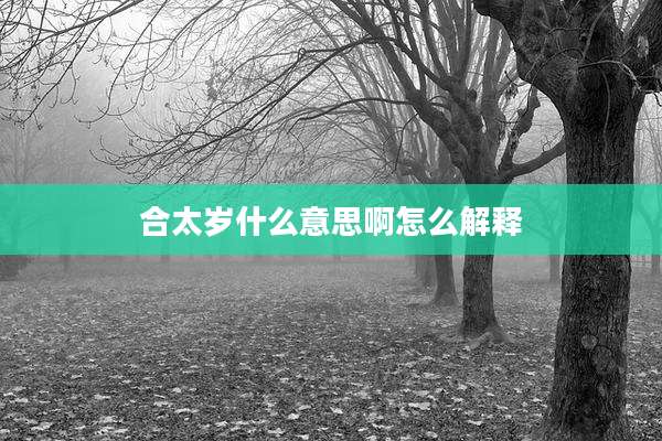 合太岁什么意思啊怎么解释