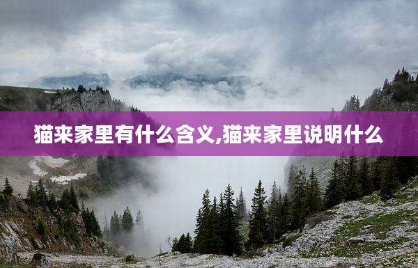 猫来家里有什么含义,猫来家里说明什么