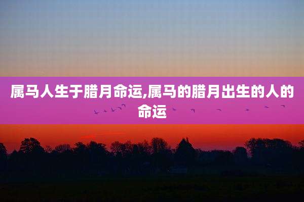 属马人生于腊月命运,属马的腊月出生的人的命运
