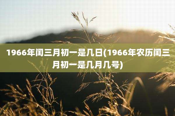 1966年闰三月初一是几日(1966年农历闰三月初一是几月几号)