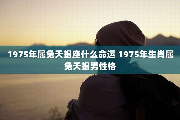 1975年属兔天蝎座什么命运 1975年生肖属兔天蝎男性格