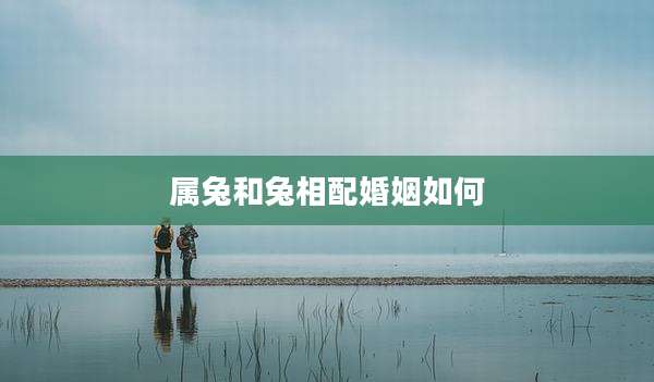 属兔和兔相配婚姻如何