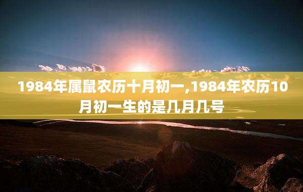 1984年属鼠农历十月初一,1984年农历10月初一生的是几月几号