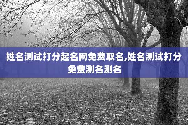 姓名测试打分起名网免费取名,姓名测试打分免费测名测名