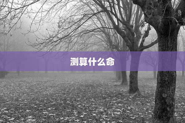 测算什么命