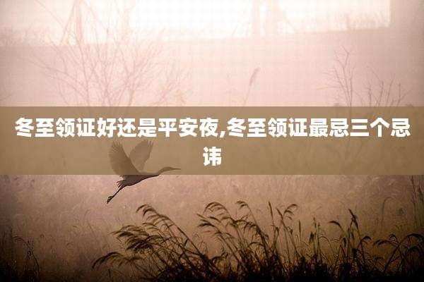 冬至领证好还是平安夜,冬至领证最忌三个忌讳