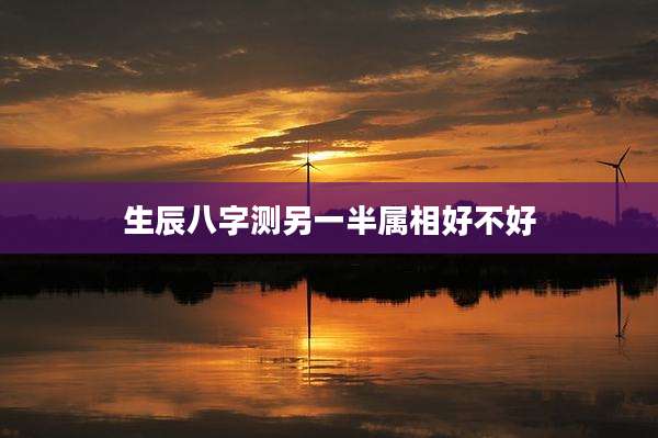 生辰八字测另一半属相好不好