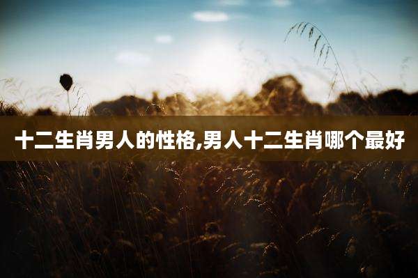 十二生肖男人的性格,男人十二生肖哪个最好