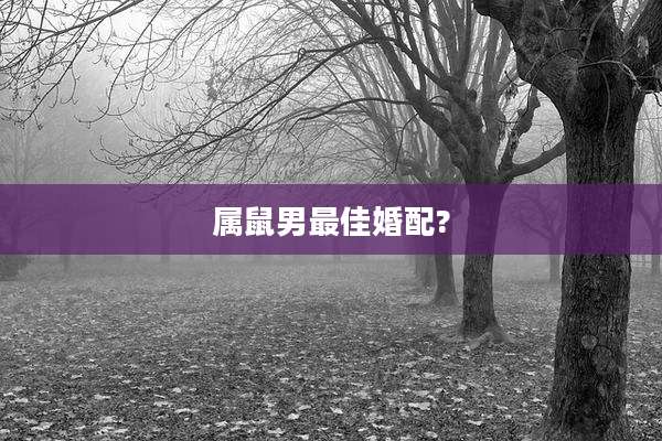 属鼠男最佳婚配?