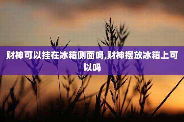 财神可以挂在冰箱侧面吗,财神摆放冰箱上可以吗