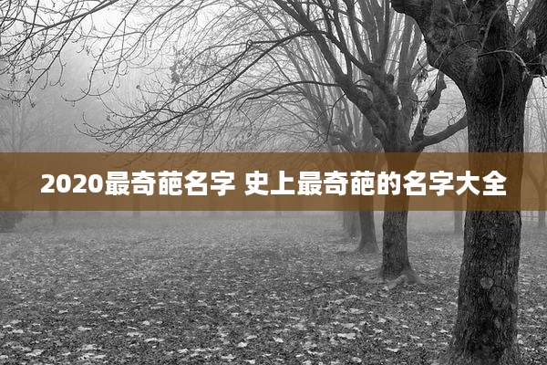 2020最奇葩名字 史上最奇葩的名字大全