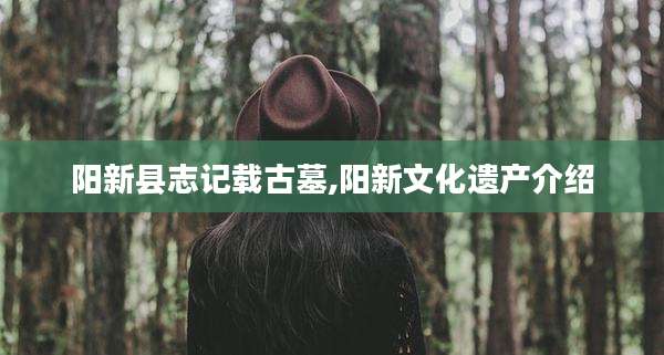 阳新县志记载古墓,阳新文化遗产介绍