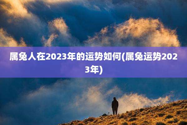 属兔人在2023年的运势如何(属兔运势2023年)