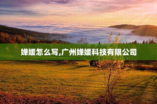 婵媛怎么写,广州婵媛科技有限公司