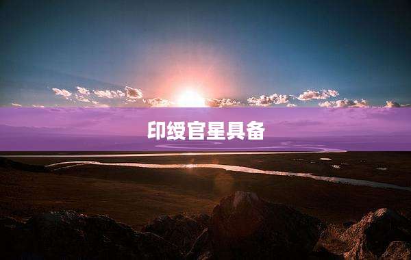 印绶官星具备