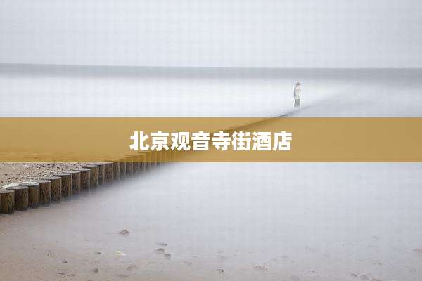 北京观音寺街酒店