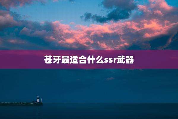 苍牙最适合什么ssr武器