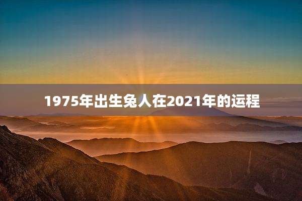 1975年出生兔人在2021年的运程