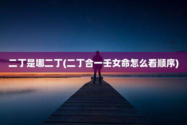 二丁是哪二丁(二丁合一壬女命怎么看顺序)