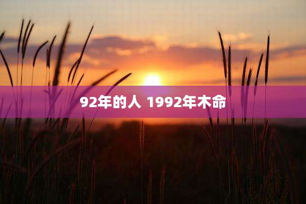 92年的人 1992年木命