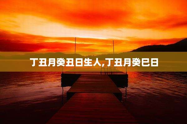 丁丑月癸丑日生人,丁丑月癸巳日