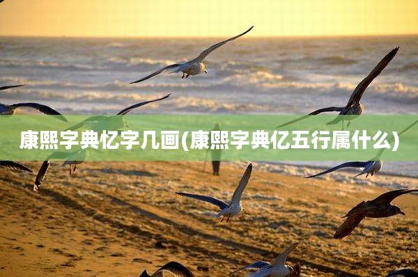康熙字典忆字几画(康熙字典亿五行属什么)