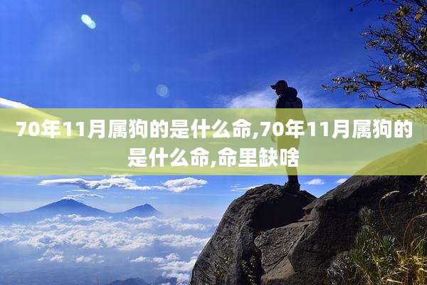 70年11月属狗的是什么命,70年11月属狗的是什么命,命里缺啥