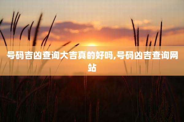 号码吉凶查询大吉真的好吗,号码凶吉查询网站